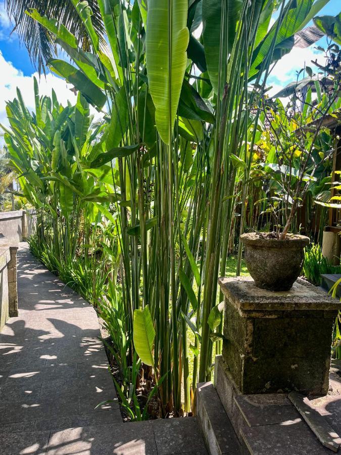 The Banana'S Kumbe Villa Tampaksiring Luaran gambar