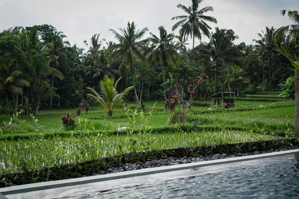 The Banana'S Kumbe Villa Tampaksiring Luaran gambar